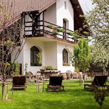 Casa Mosului - Transfagarasan Bed & Breakfast Cîrţişoara Exteriör bild