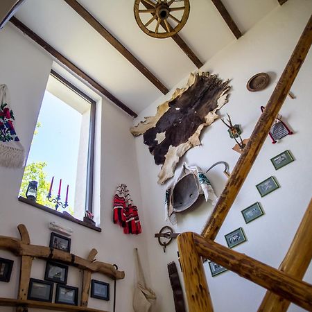 Casa Mosului - Transfagarasan Bed & Breakfast Cîrţişoara Exteriör bild