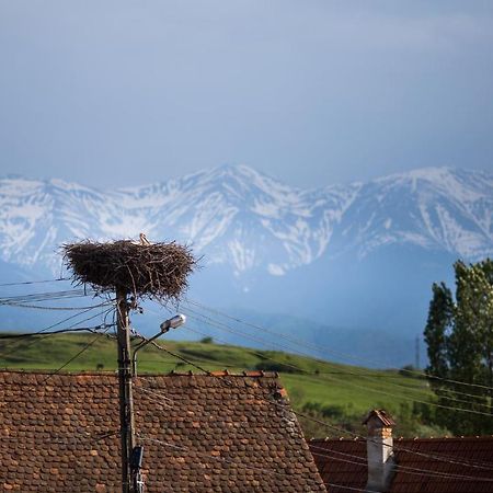 Casa Mosului - Transfagarasan Bed & Breakfast Cîrţişoara Exteriör bild
