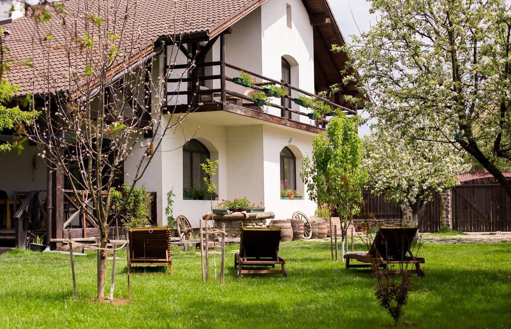 Casa Mosului - Transfagarasan Bed & Breakfast Cîrţişoara Exteriör bild