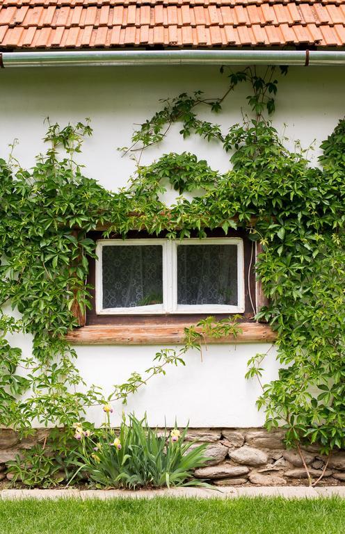 Casa Mosului - Transfagarasan Bed & Breakfast Cîrţişoara Exteriör bild