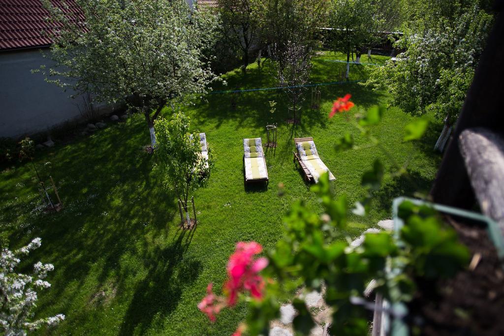 Casa Mosului - Transfagarasan Bed & Breakfast Cîrţişoara Exteriör bild