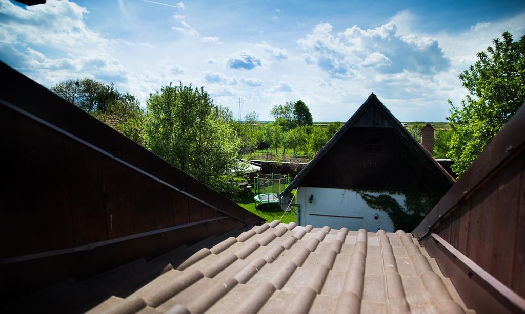 Casa Mosului - Transfagarasan Bed & Breakfast Cîrţişoara Exteriör bild