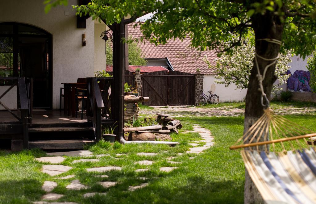 Casa Mosului - Transfagarasan Bed & Breakfast Cîrţişoara Exteriör bild