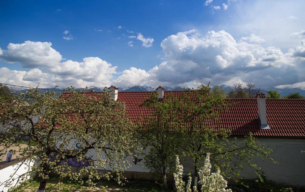 Casa Mosului - Transfagarasan Bed & Breakfast Cîrţişoara Exteriör bild