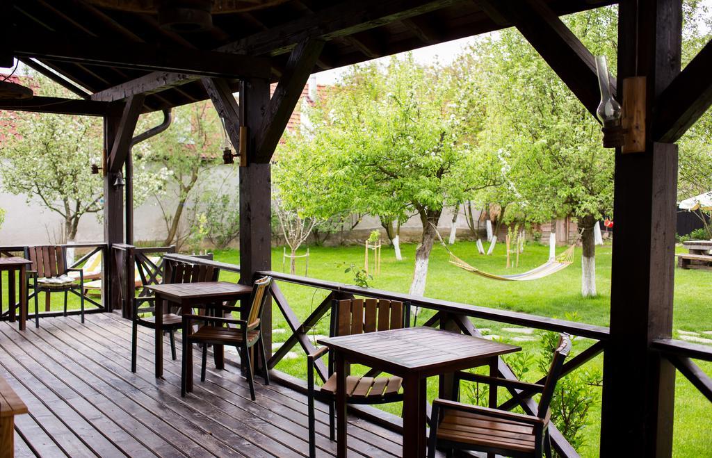 Casa Mosului - Transfagarasan Bed & Breakfast Cîrţişoara Exteriör bild