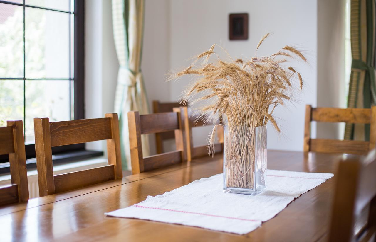 Casa Mosului - Transfagarasan Bed & Breakfast Cîrţişoara Exteriör bild